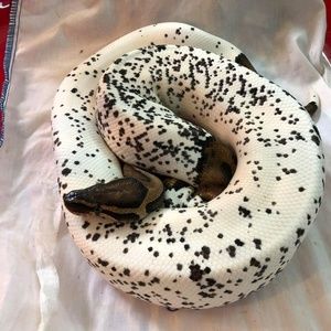 Meet your Posher, Destiny